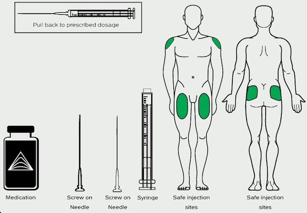 Diagram showing safe intramuscular injection sites on the male body — deltoids, outer thighs, and upper outer glutes. Includes labeled medication vial, two screw-on needles (one for drawing, one for injecting), a 1 mL syringe, and a pull-back instruction to draw the prescribed dosage.